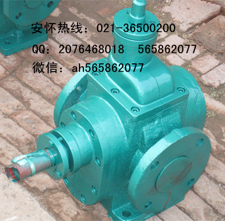 ycb3.3-0.6型不锈钢圆弧齿轮泵