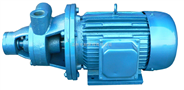 1W系列单级漩涡泵