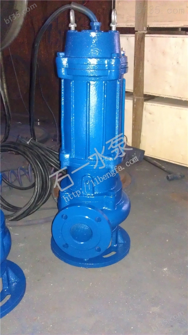 QW系列潜水式污水泵 *DN50 污水潜水不锈钢耐腐蚀排污泵