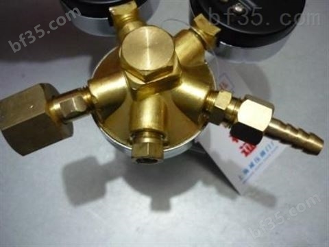 上海繁瑞氮气减压器YQD-370氮气减压表YQD370氮气减压阀YQD氮气压力表**