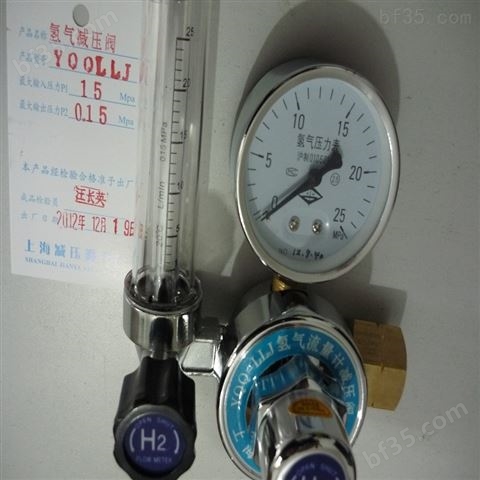上海繁瑞氢气减压表YQQ-LLJ氢气流量计YQQ