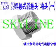 SKYLINE-YZG5-29 焊接式管接头-堵头（一）