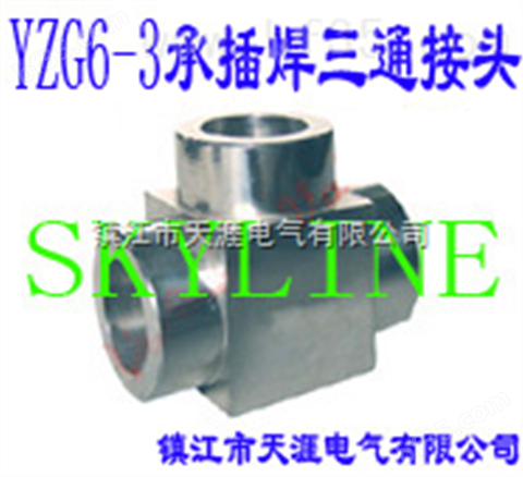 SKYLINE-YZG6-3 承插焊三通接头