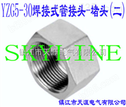 SKYLINE-YZG5-30 焊接式管接头-堵头（二）