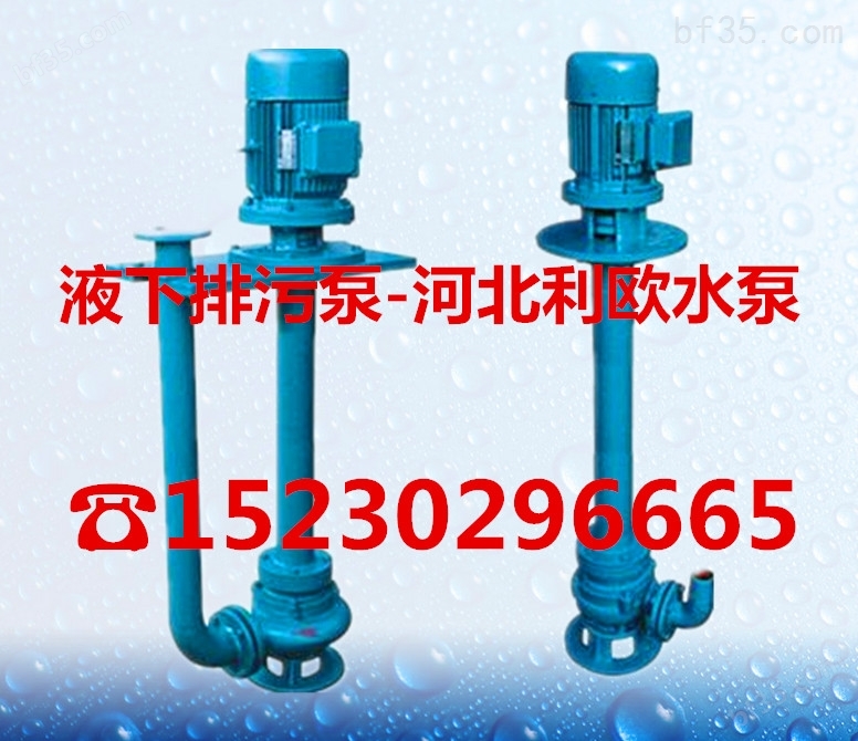 100YW100-15-7.5液下排污泵单双管河道清淤泵液下泥浆泵立式泥浆泵
