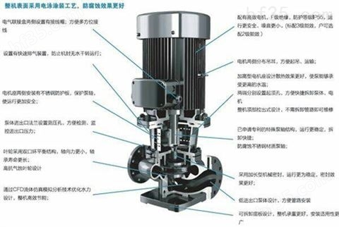 单级立式管道循环清水泵TD50-70/2立式锅炉给水管道泵高温热水泵管道流程泵