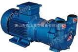 2BV-2070水环真空泵