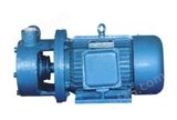 1W型单级漩涡泵 不锈钢单级旋涡泵 防爆单级漩涡泵
