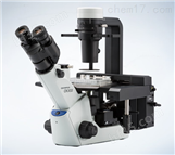 奥林巴斯CKX53倒置显微镜供应商