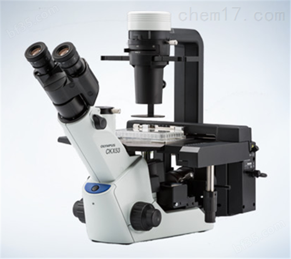 销售奥林巴斯CKX53倒置显微镜批发